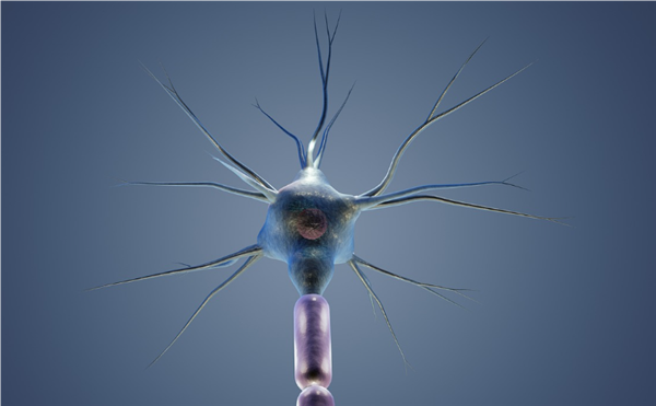 科學(xué)家馴服寄生蟲(chóng)幫人類治?。嚎蓴y帶藥物進(jìn)入大腦