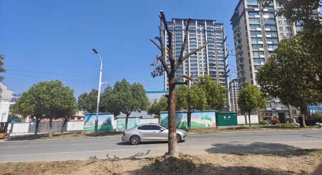 20240402155358 20240402155358