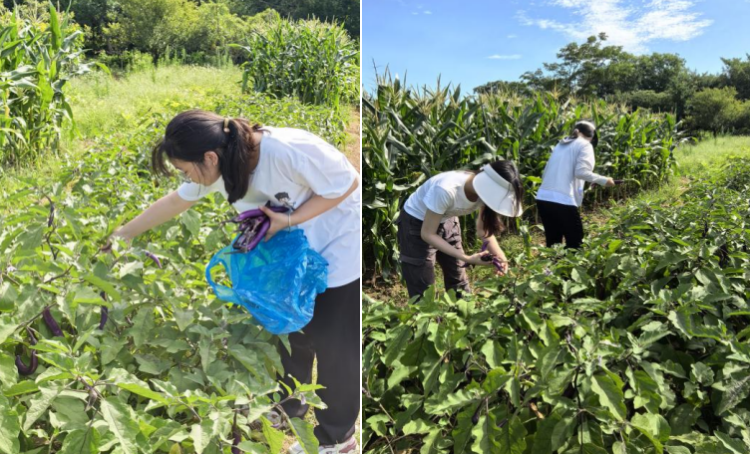 截屏2025-07-29 09 截屏2025-07-29 09