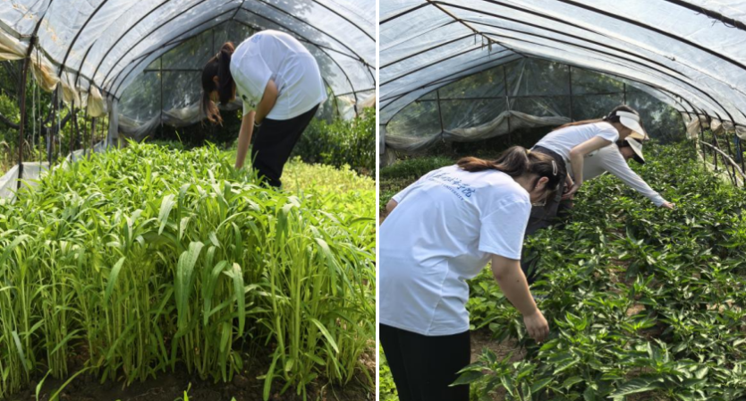 截屏2025-07-29 09 截屏2025-07-29 09