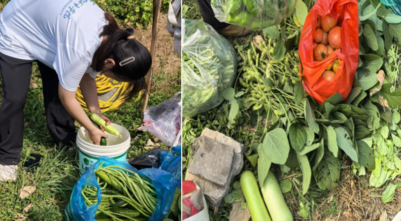 截屏2025-07-29 09 截屏2025-07-29 09